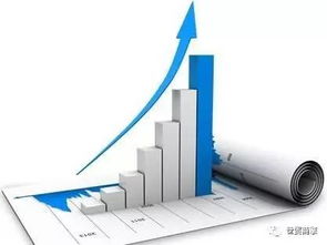 網站不優化，信息咨詢服務將面臨的挑戰與機遇